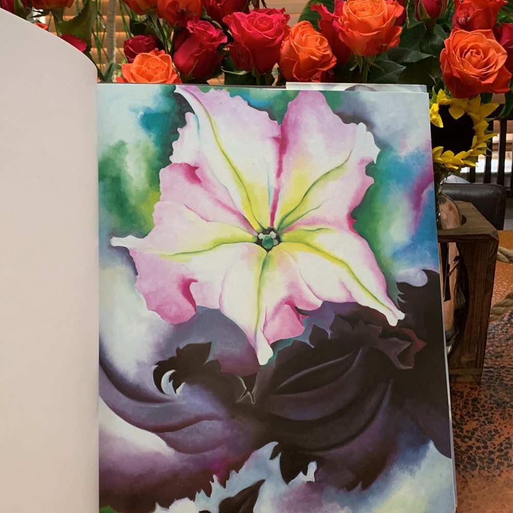 Georgia O’Keeffe: ONE HUNDRED FLOWERS - Picture 4 of 6
